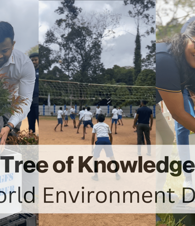 Tree-of-Knowledge-Blog-Thumbna
